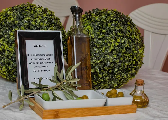 Сasa de vacaciones Opg Meri *