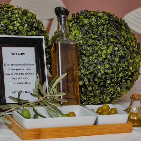 Vakantiehuis Opg Meri *