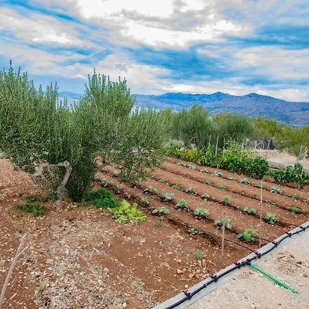 Vakantiehuis Opg Meri